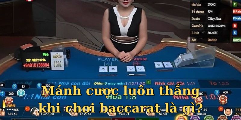 Bí kíp luôn thắng đậm khi tham gia baccarat là gì