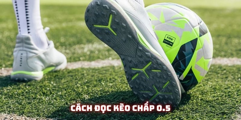 Nắm được cách đọc kèo để chơi hiệu quả