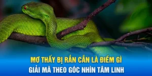 Mơ thấy bị rắn cắn